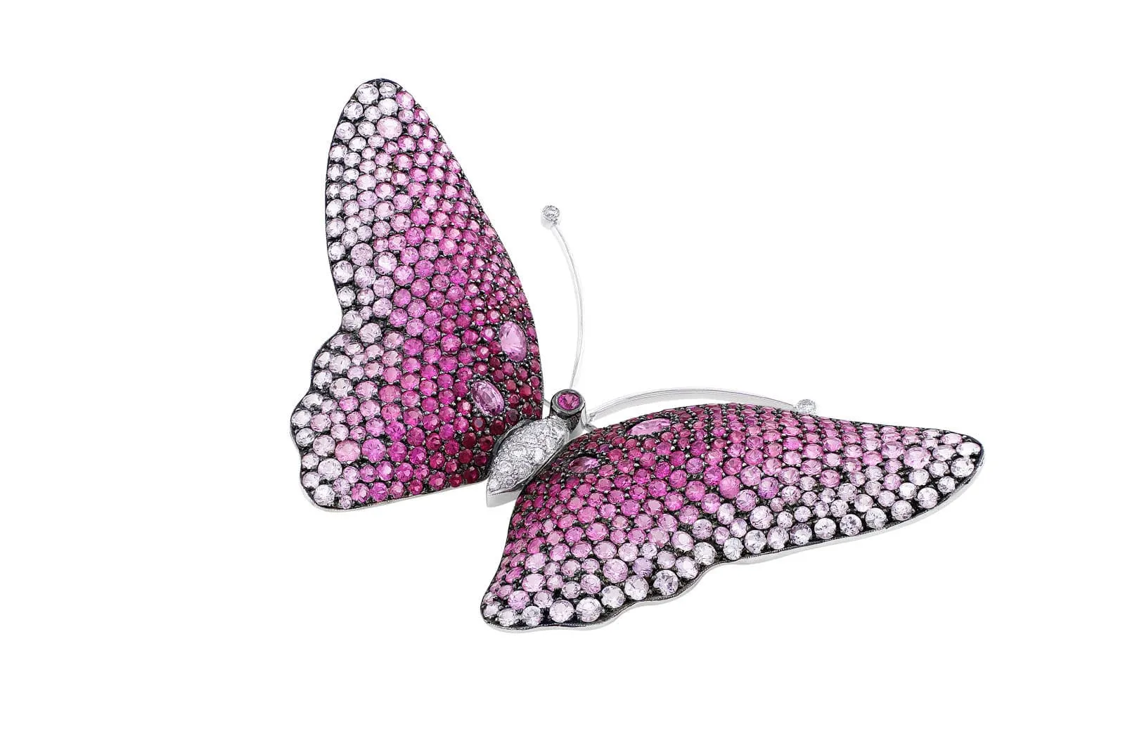 18k White Gold Pink Sapphire Butterfly Pin