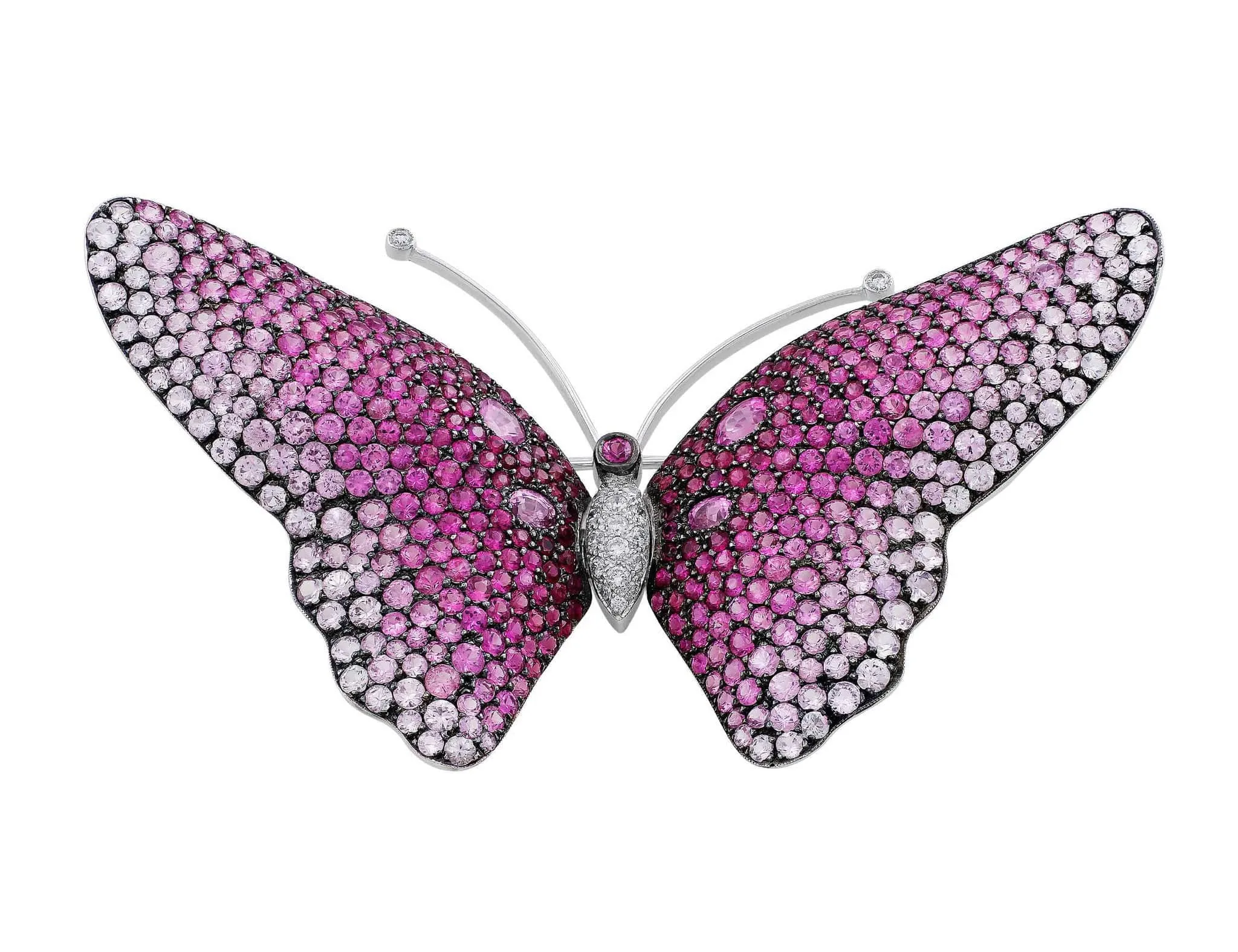 18k White Gold Pink Sapphire Butterfly Pin