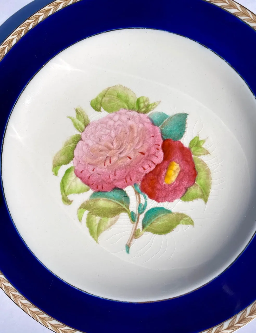 1940 Hand Painted Pink Camelias Botanical English Transferware Plate Blue Border