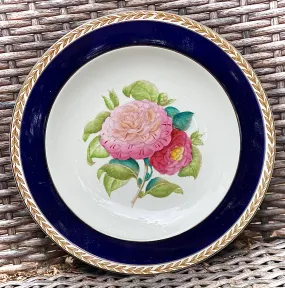 1940 Hand Painted Pink Camelias Botanical English Transferware Plate Blue Border