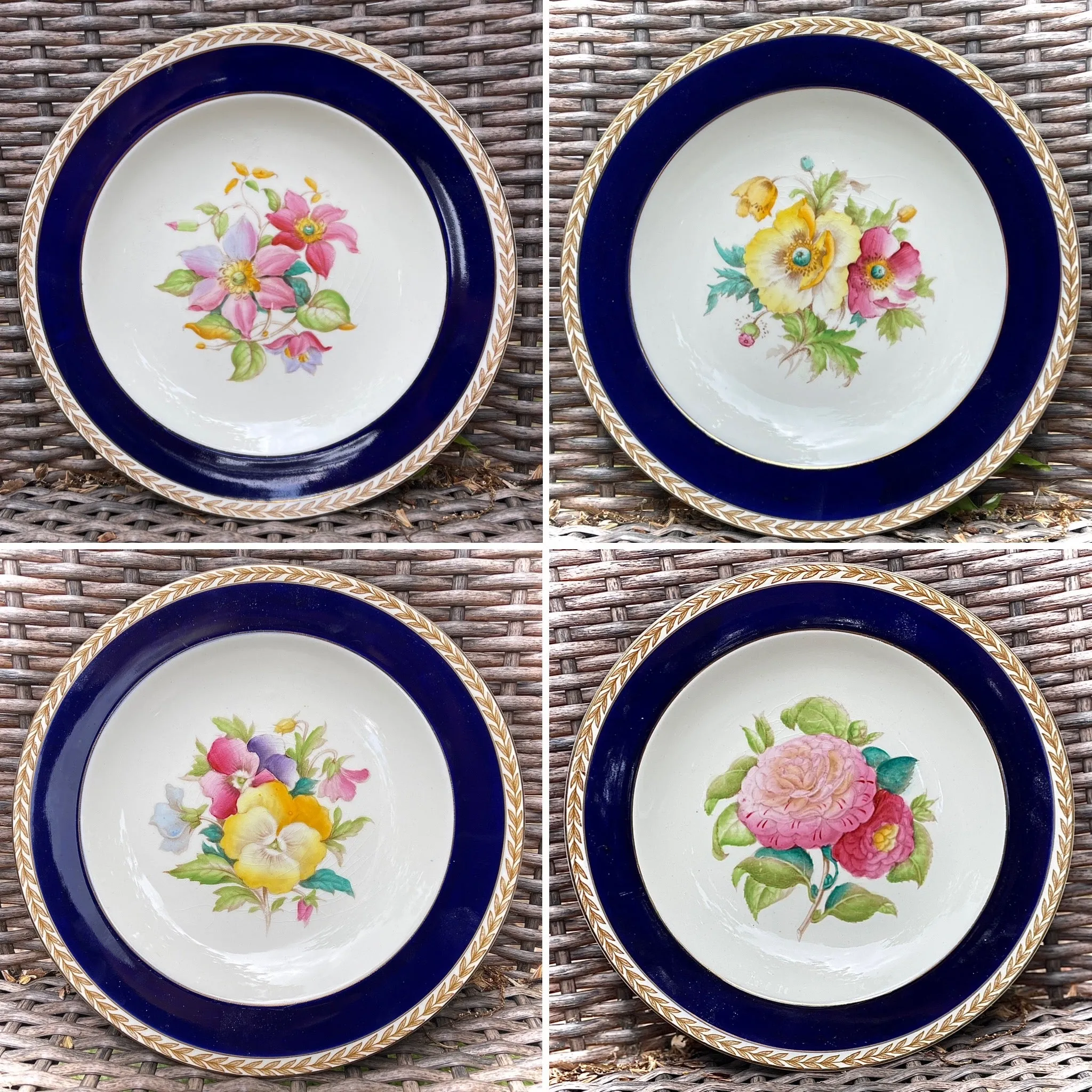 1940 Hand Painted Pink Camelias Botanical English Transferware Plate Blue Border