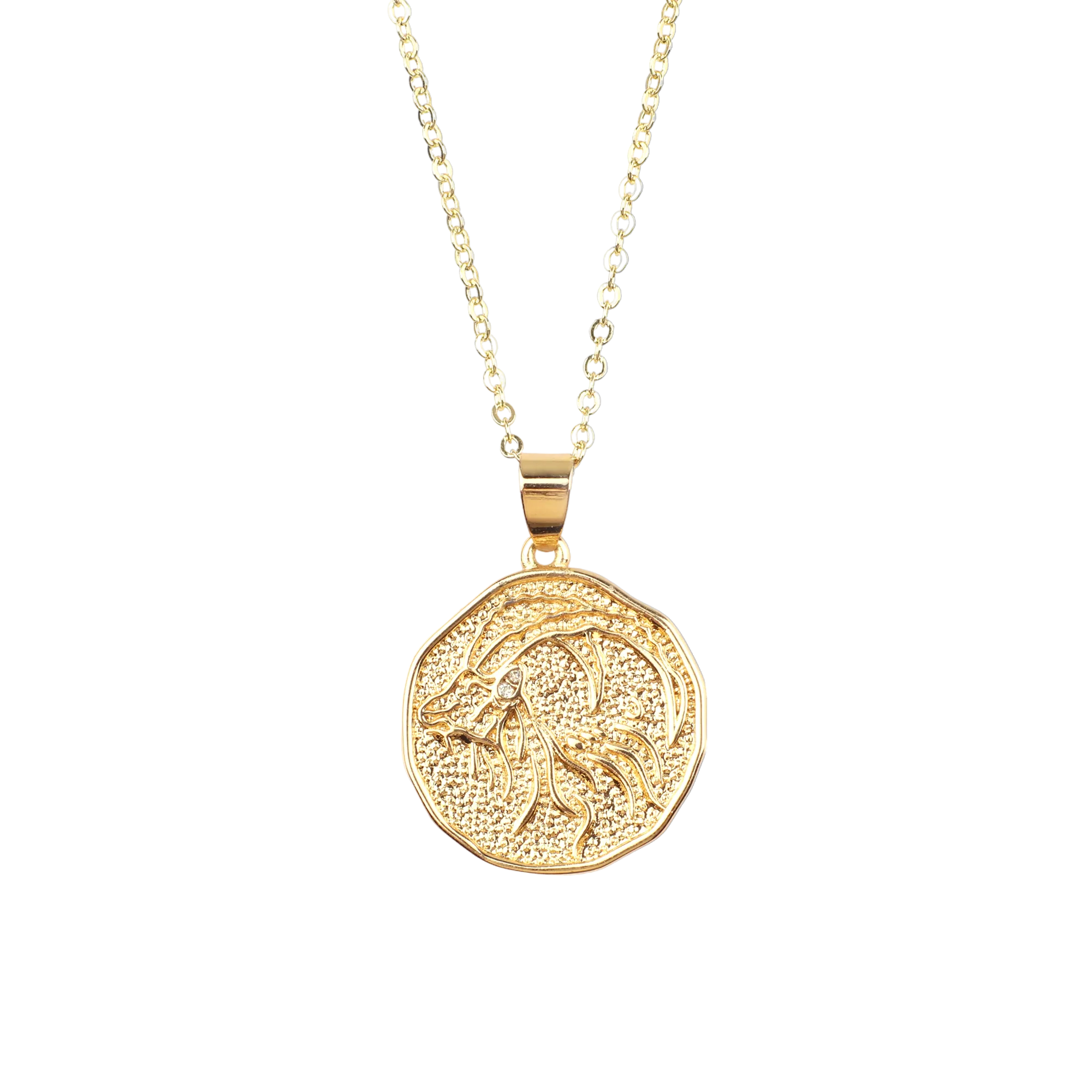 Astrological Sign Coin Pendant Necklace