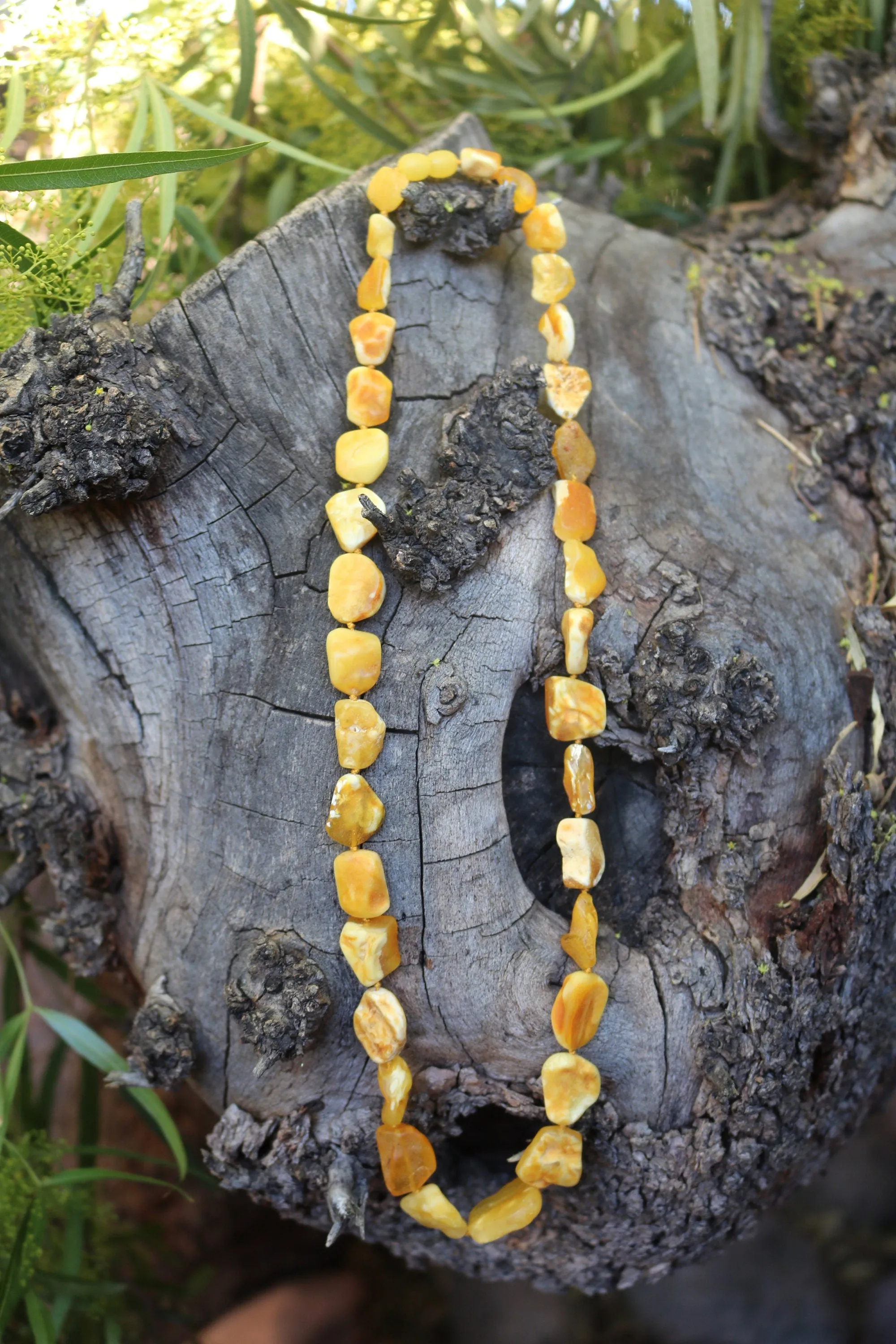 Baltic Amber Necklace Butterscotch Unpolished Raw Natural Untreated Unisex Jewelry 24.4" 30.5 gram