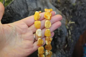 Baltic Amber Necklace Butterscotch Unpolished Raw Natural Untreated Unisex Jewelry 24.4" 30.5 gram