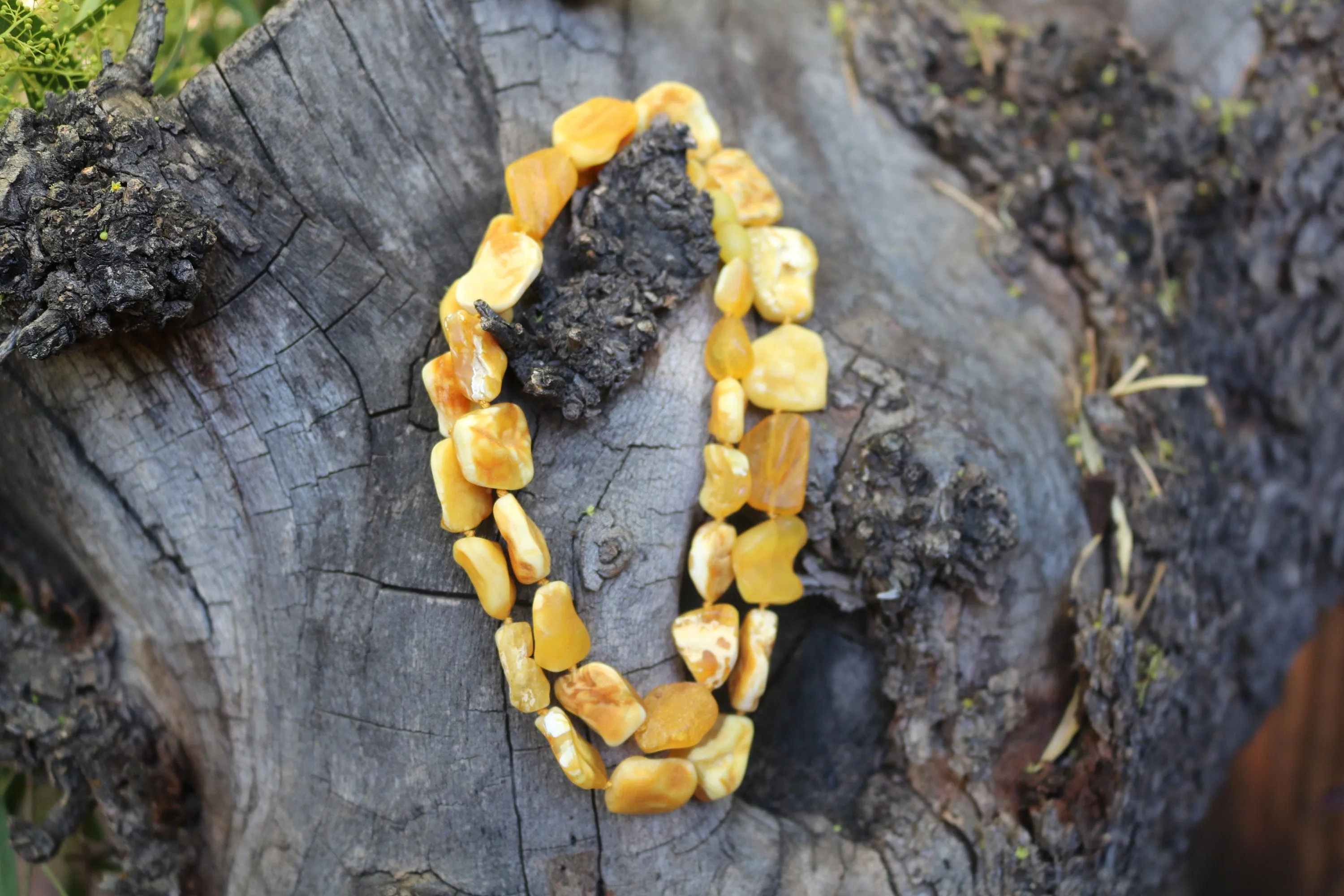 Baltic Amber Necklace Butterscotch Unpolished Raw Natural Untreated Unisex Jewelry 24.4" 30.5 gram