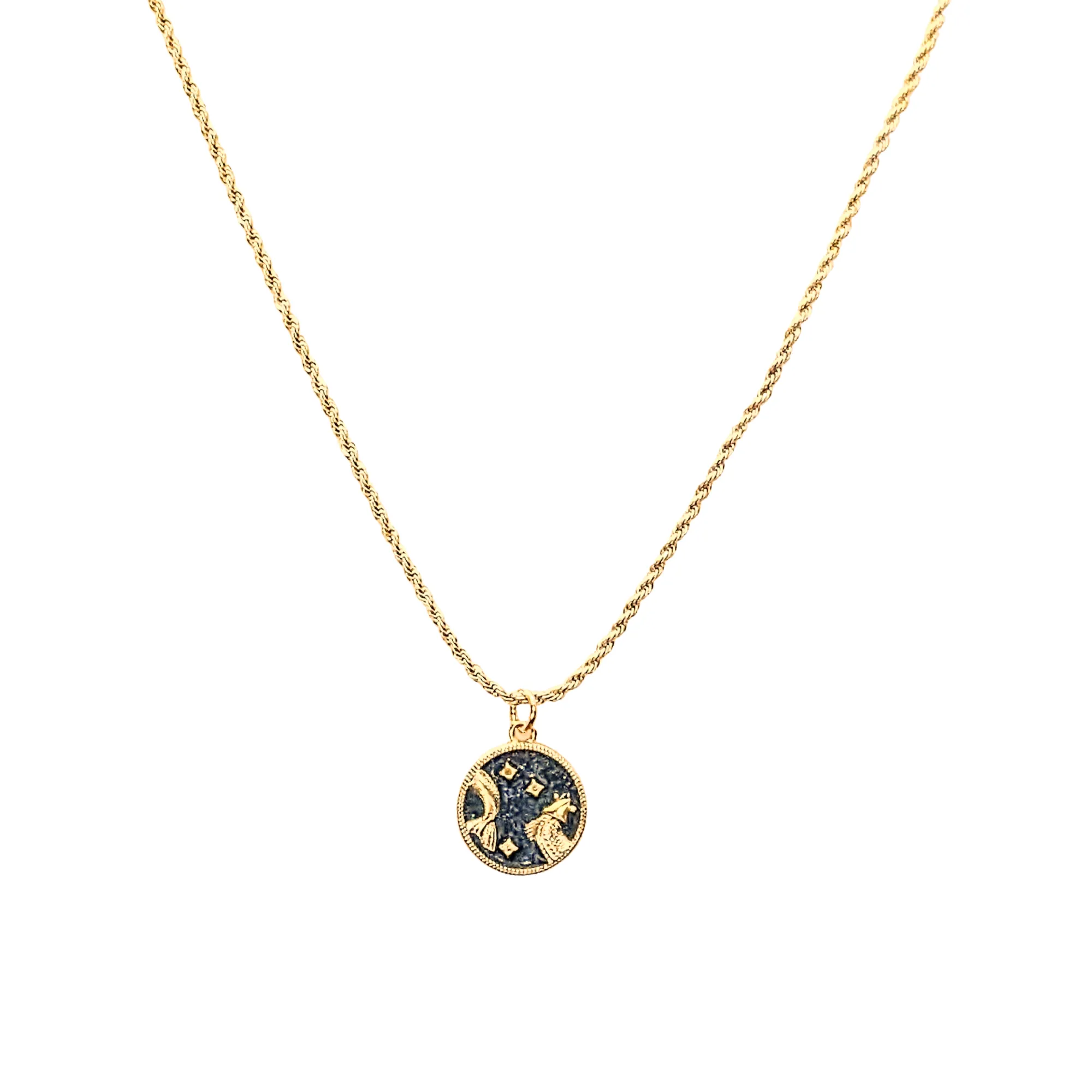 Blue Enamel Zodiac Pendant Necklace - 20 inches