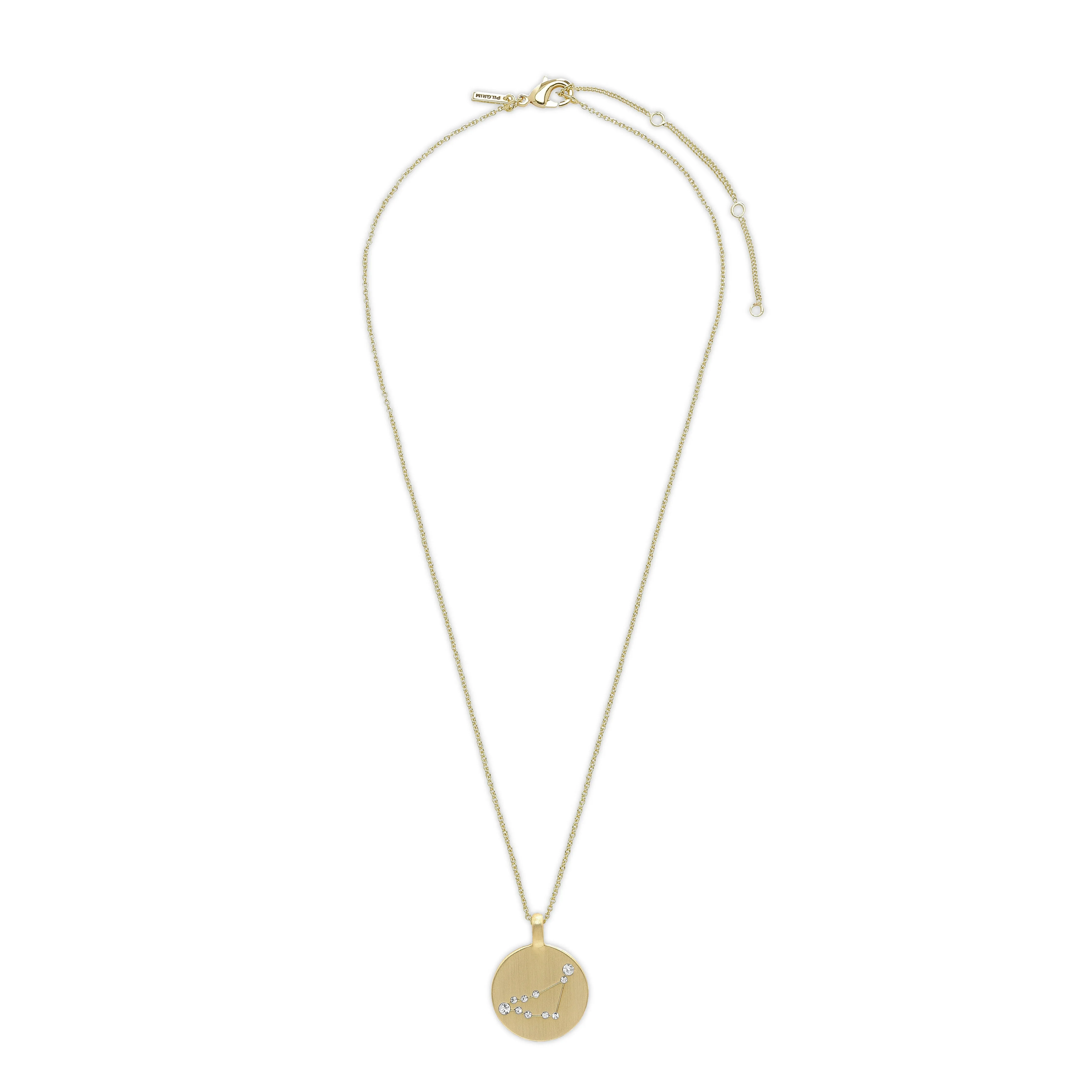 CAPRICORNUS Zodiac Sign Coin Necklace, gold-plated