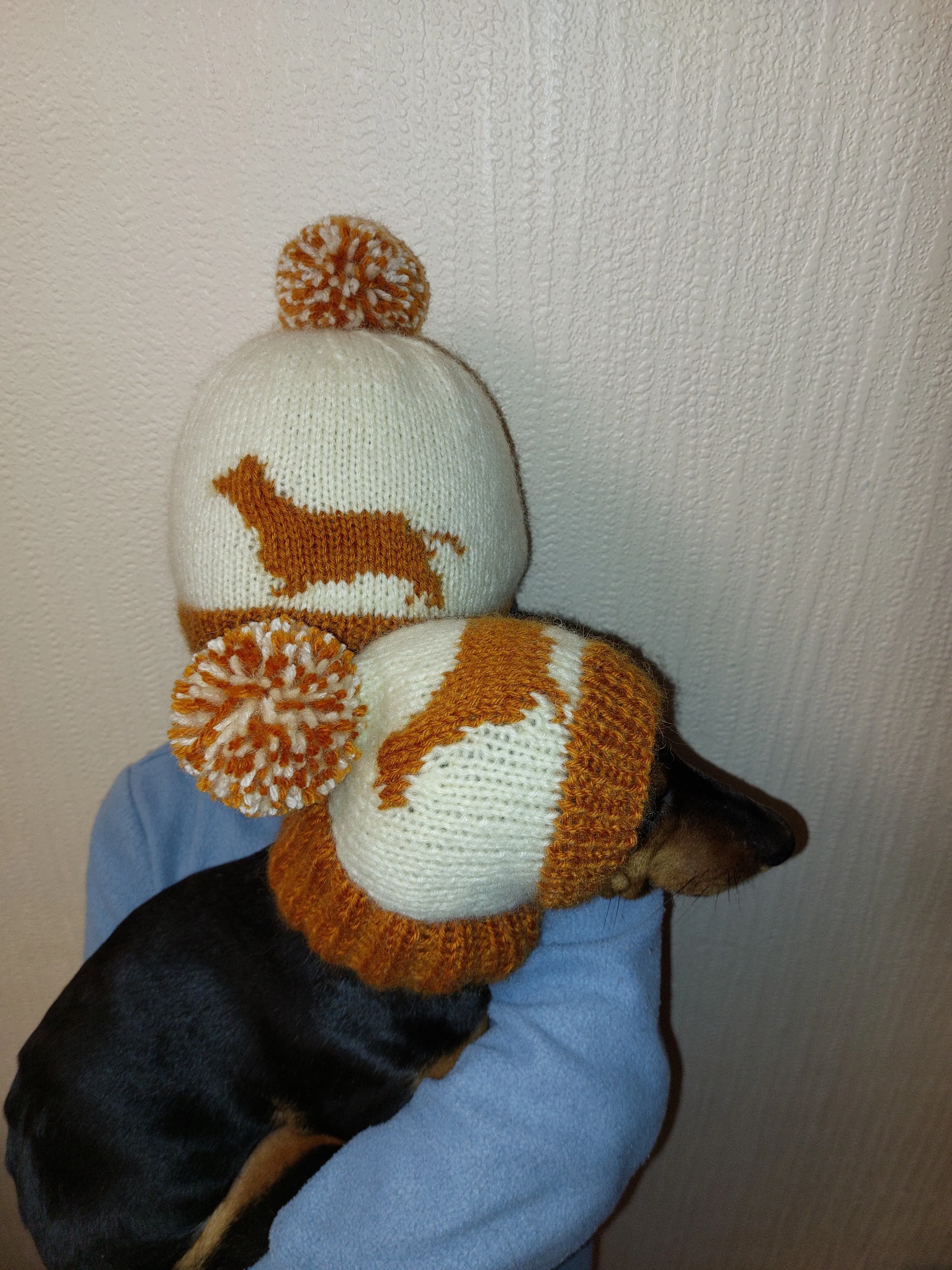 Dachshund pet beanies with matching owner's beanies, dachshund and me beanies, mum and pet beanies