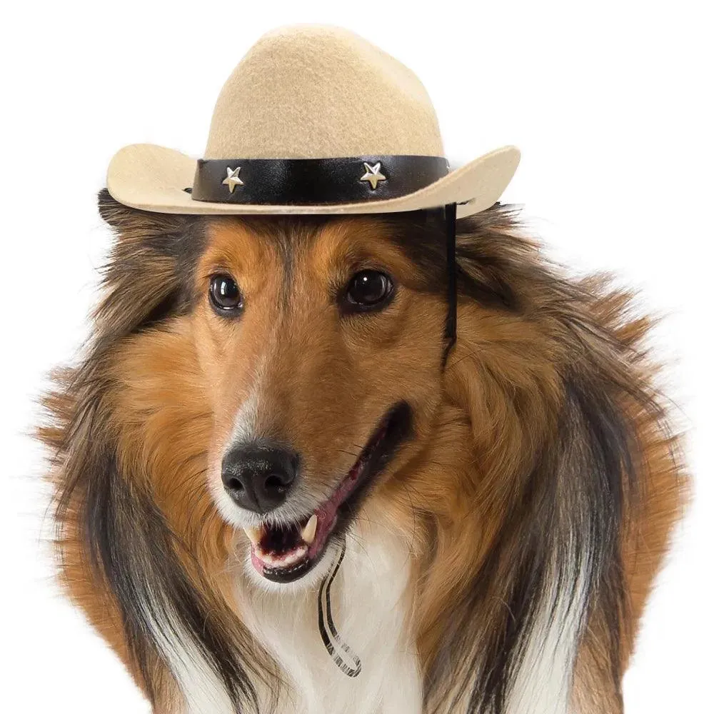 Dog Cowboy Hat - Pet Headwear