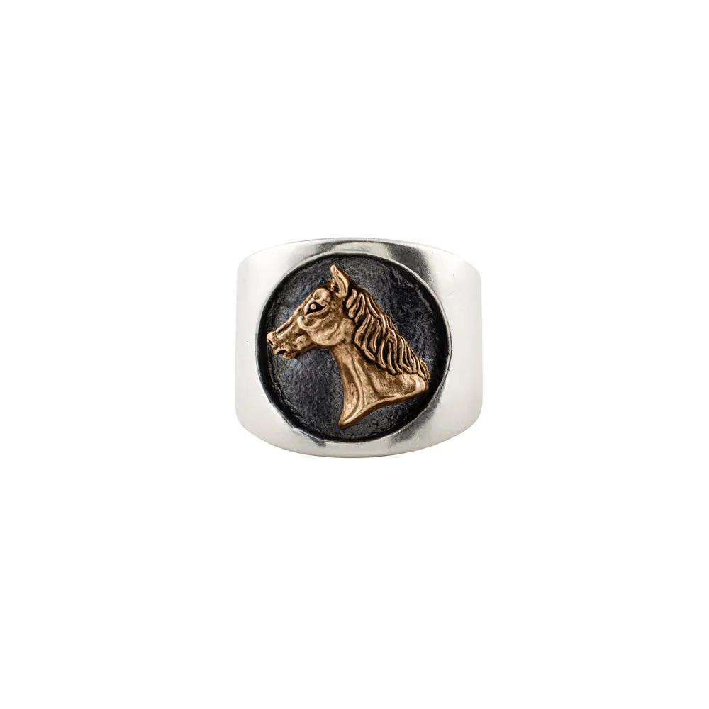 Show Pony Ring