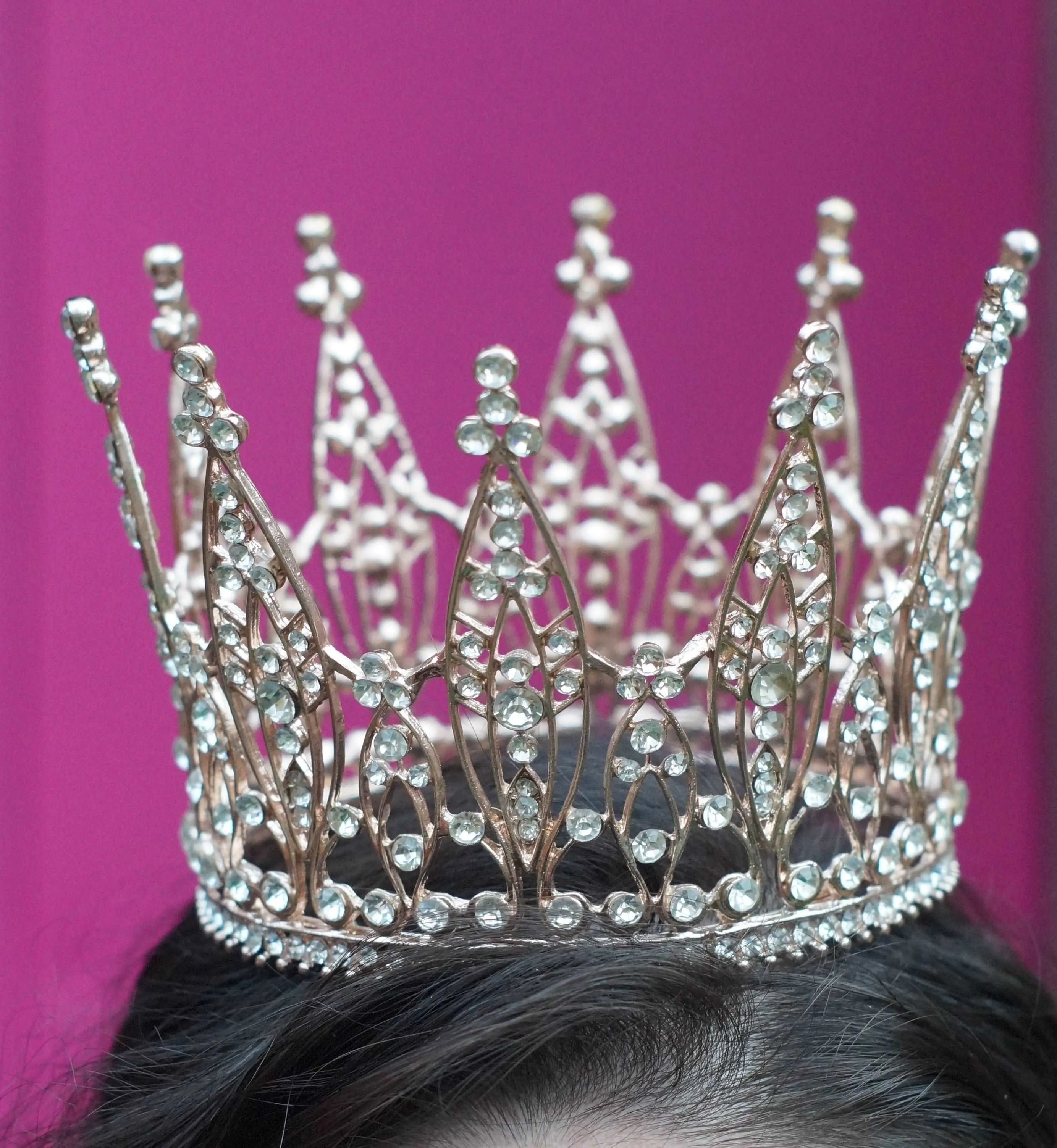 The Benedikte Crown