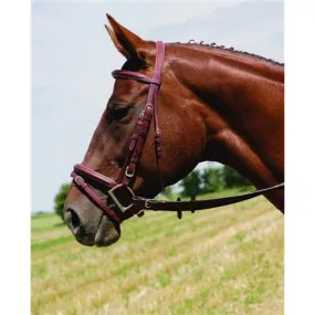 Vespucci Single Crown Plain Raised Bridle w/ Flash